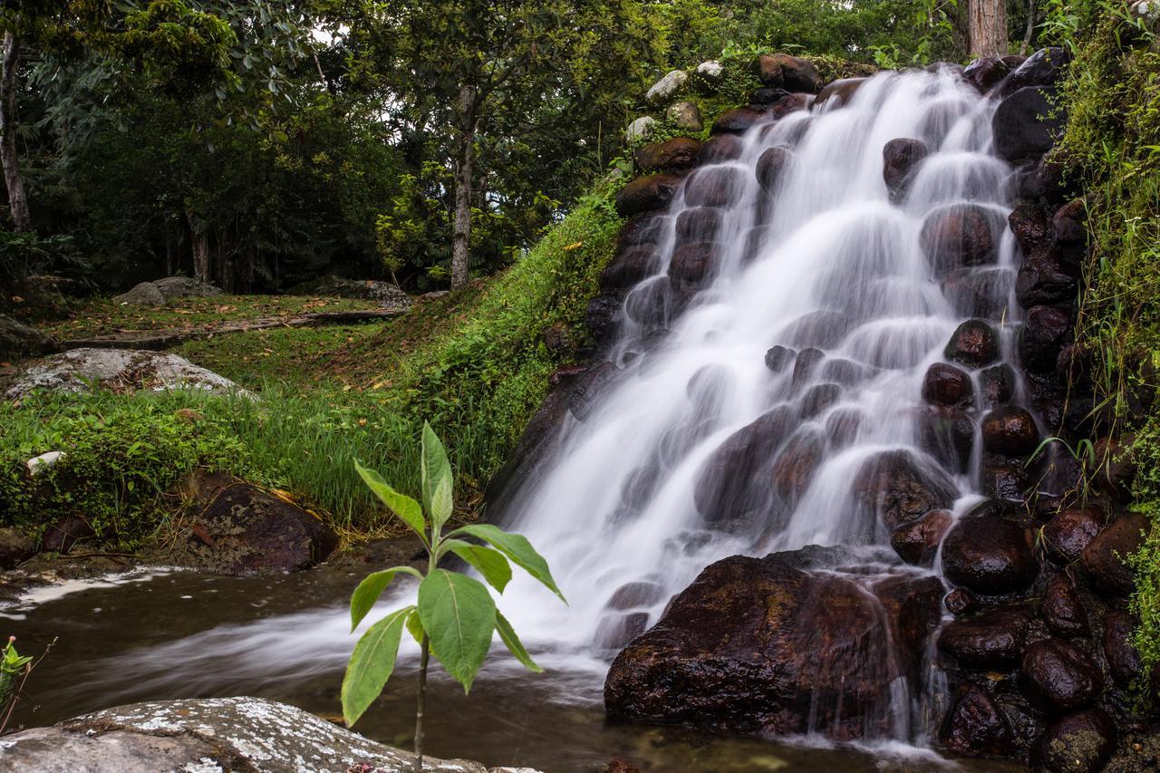 Finca El Refugio Hotel Spa ซาไซมา ภายนอก รูปภาพ